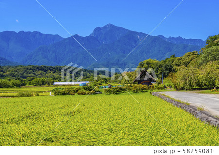 【山梨県】南アルプスと北杜市の秋の田園風景 【山梨県】南アルプスと北杜市の秋の田園風景 58259081