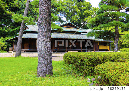 【東京都】皇居東御苑　二の丸庭園　諏訪の茶屋 58259135