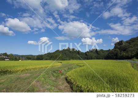 大分 大分 58259273