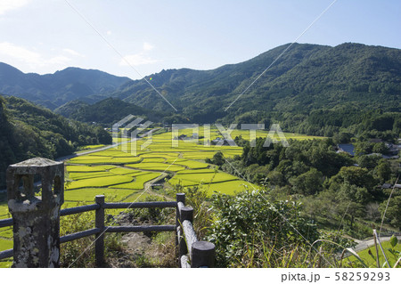 大分 大分 58259293