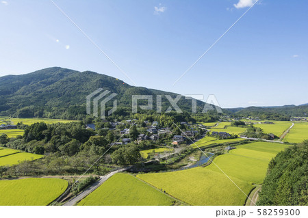 大分 大分 58259300