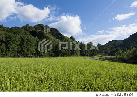 大分 大分 58259334