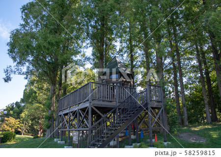 久喜菖蒲公園　ツリーハウス　アクアレジャーパーク　埼玉県久喜市 58259815