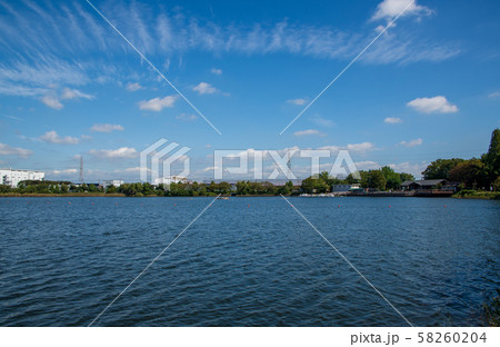 久喜菖蒲公園　昭和沼　アクアレジャーパーク　埼玉県久喜市 58260204