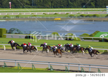 京都競馬場 58260285