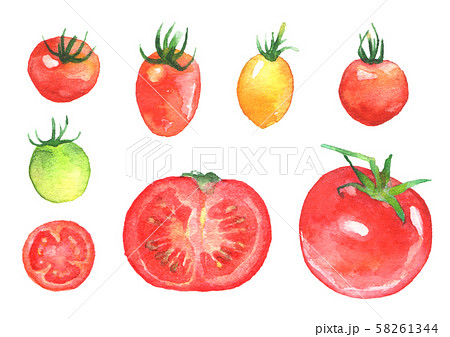 トマトのイラスト素材 58261344 Pixta