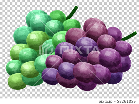 Grapes, grapes, fruits, fruits 58261859