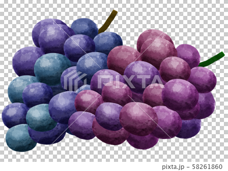 Grapes, grapes, fruits, fruits Grapes, grapes, fruits, fruits 58261860