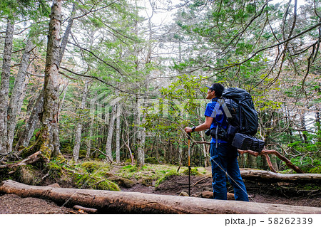 春の八ヶ岳登山 (観音平~編笠山):押手川周辺の森 春の八ヶ岳登山 (観音平~編笠山):押手川周辺の森 58262339