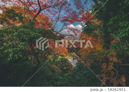 京都 大河内山荘の紅葉と秋景色 京都 大河内山荘の紅葉と秋景色 58262951