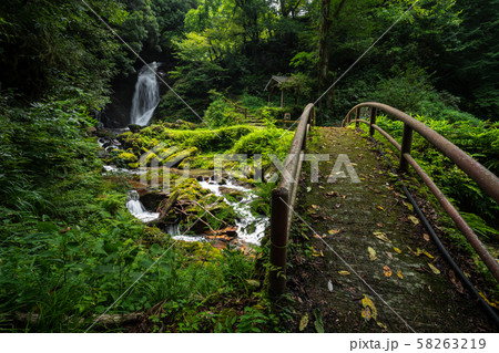 兵庫県 久須部渓谷と要滝の新緑景色 兵庫県 久須部渓谷と要滝の新緑景色 58263219