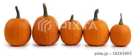 Five pumpkins isolated on white 58263905
