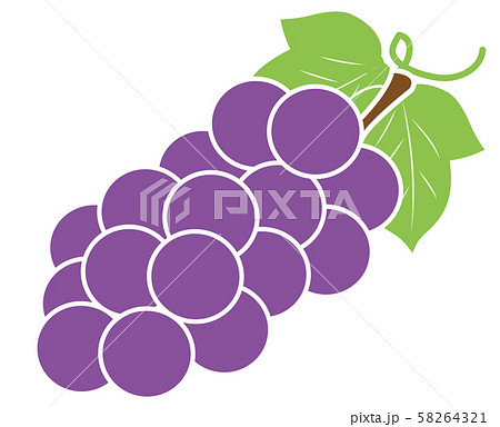 ぶどうのイラスト素材