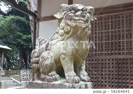 狛犬(吽形)(志貴御県坐神社(磯城瑞籬宮(しきのみずかきのみや)跡)/奈良県桜井市金屋) 狛犬(吽形)(志貴御県坐神社(磯城瑞籬宮(しきのみずかきのみや)跡)/奈良県桜井市金屋) 58264645