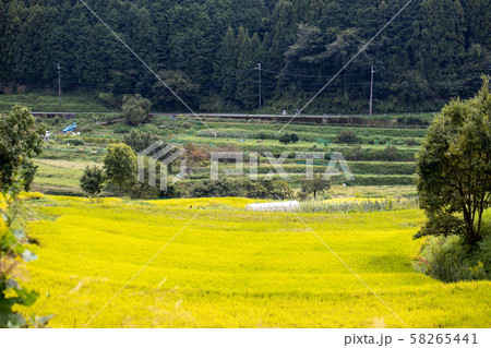 明日香村の風景 明日香村の風景 58265441