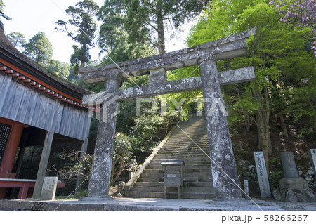 福岡 福岡 58266267