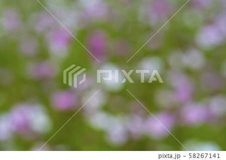 風景 自然 韓国 58267141