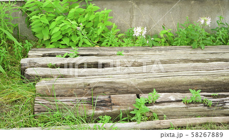 枕木 イメージ 枕木 イメージ 58267889