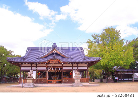 松原八幡宮(灘のけんか祭り)姫路市白浜町 松原八幡宮(灘のけんか祭り)姫路市白浜町 58268431