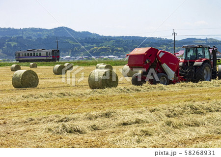 干し草ロール_麦わらロール 干し草ロール_麦わらロール 58268931