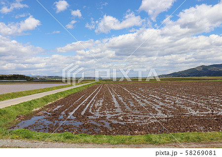 水田のイメージ 58269081