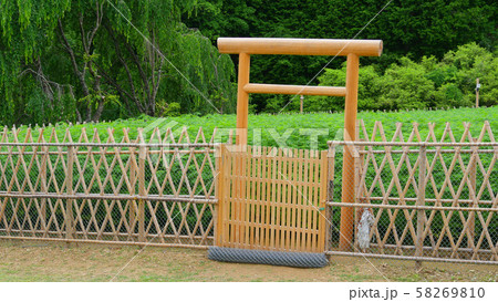 大嘗祭のあらたえの麻畑 58269810