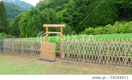 大嘗祭のあらたえの麻畑 58269811