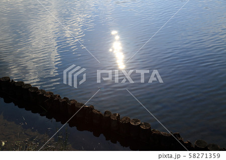 初秋の羽鳥胡高原 58271359