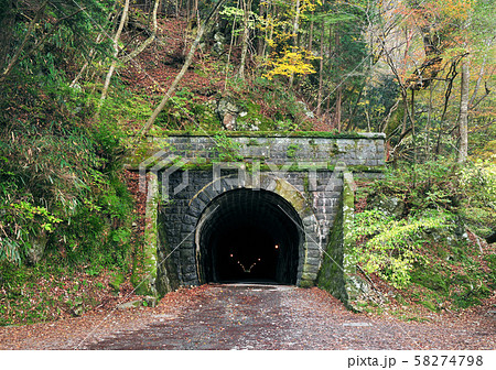 秋の天城山隧道-18418 秋の天城山隧道-18418 58274798
