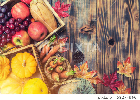 Fall harvest cornucopia. Thanksgiving day concept. Fall harvest cornucopia. Thanksgiving day concept. 58274966