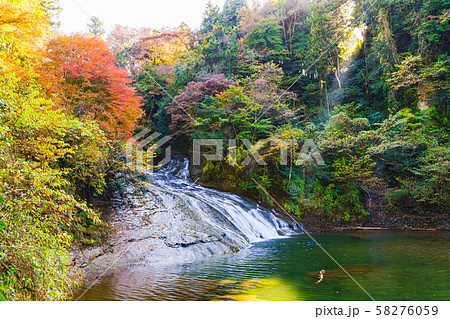 日本の秋のイメージ：首都圏を代表する紅葉の名所であり千葉のシンボルの養老渓谷の名瀑　粟又の滝の風景 58276059