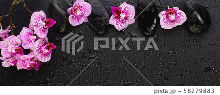 Beautiful floral background with copy space.  58279883