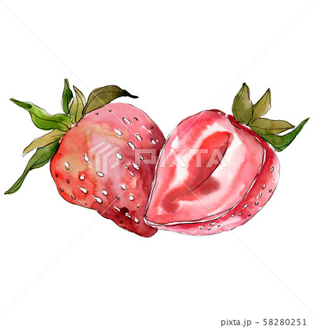 Strawberry healthy food. Watercolor background illustration set. Isolated berry illustration element Strawberry healthy food. Watercolor background illustration set. Isolated berry illustration element 58280251