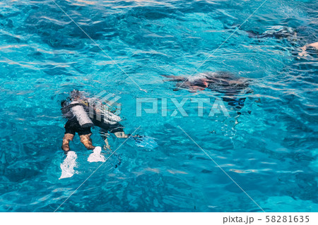 Scuba diving in the tropical sea, diving with 58281635