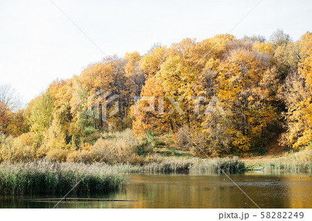 A lake in the autumn forest in the soft sunset light. Beautiful sunny autumn 58282249