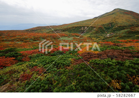 秋の栗駒山 58282667