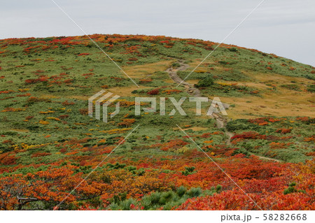 秋の栗駒山 秋の栗駒山 58282668