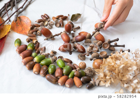 秋の森で拾った落ち葉やどんぐり 58282954