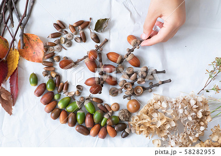 秋の森で拾った落ち葉やどんぐり 58282955
