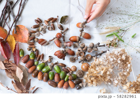 秋の森で拾った落ち葉やどんぐり 58282961