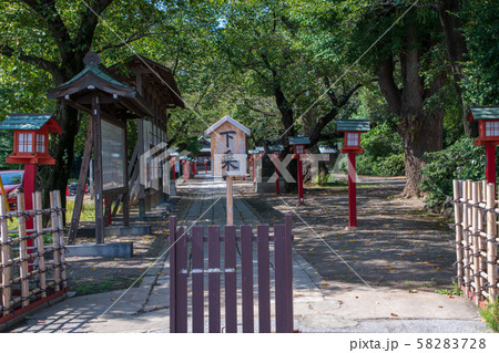 鷲宮神社 参道 久喜市鷲宮 鷲宮神社 参道 久喜市鷲宮 58283728