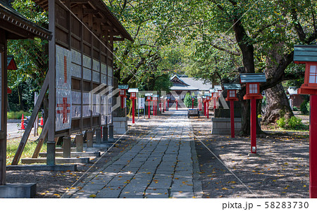 鷲宮神社　参道　久喜市鷲宮 58283730