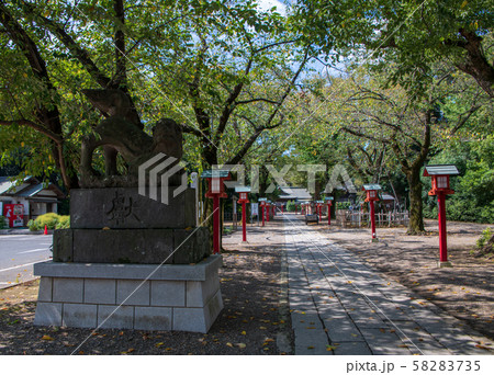鷲宮神社 境内 狛犬 久喜市鷲宮 鷲宮神社 境内 狛犬 久喜市鷲宮 58283735