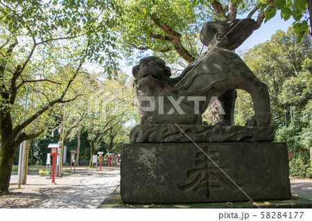 鷲宮神社　境内　狛犬　久喜市鷲宮 58284177