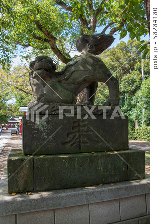 鷲宮神社 境内 狛犬 久喜市鷲宮 鷲宮神社 境内 狛犬 久喜市鷲宮 58284180