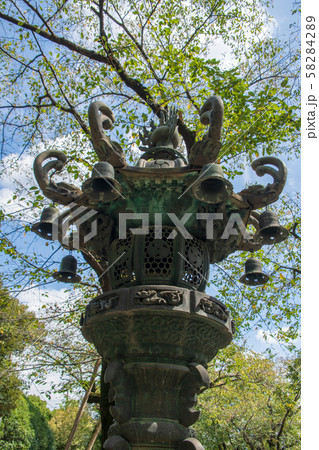 鷲宮神社 境内 金灯籠 久喜市鷲宮 鷲宮神社 境内 金灯籠 久喜市鷲宮 58284289