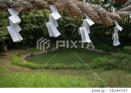 鷲宮神社 境内 光天之池 久喜市鷲宮 鷲宮神社 境内 光天之池 久喜市鷲宮 58284547