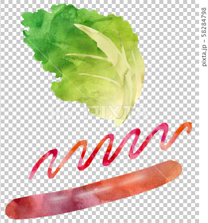 Hot dog buns illustration set 58284798