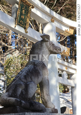 奥秩父三峰山の三峰神社の狛狼の写真素材 [58285127] - PIXTA