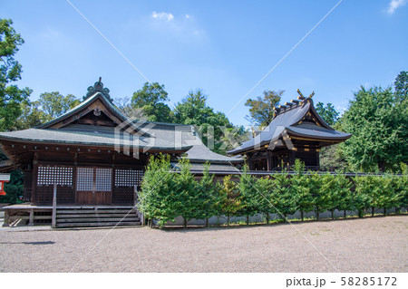 鷲宮神社 本殿 拝殿 久喜市鷲宮 鷲宮神社 本殿 拝殿 久喜市鷲宮 58285172